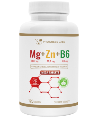 ZMA <br> MAGNEZ+CYNK+B6 <BR>PRODUKT WEGAŃSKI <BR>120 TABLETEK