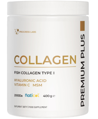 COLLAGEN PREMIUM PLUS <br>HYALURONIC ACID VITAMIN C MSM<br> OPAKOWANIE: 400 g